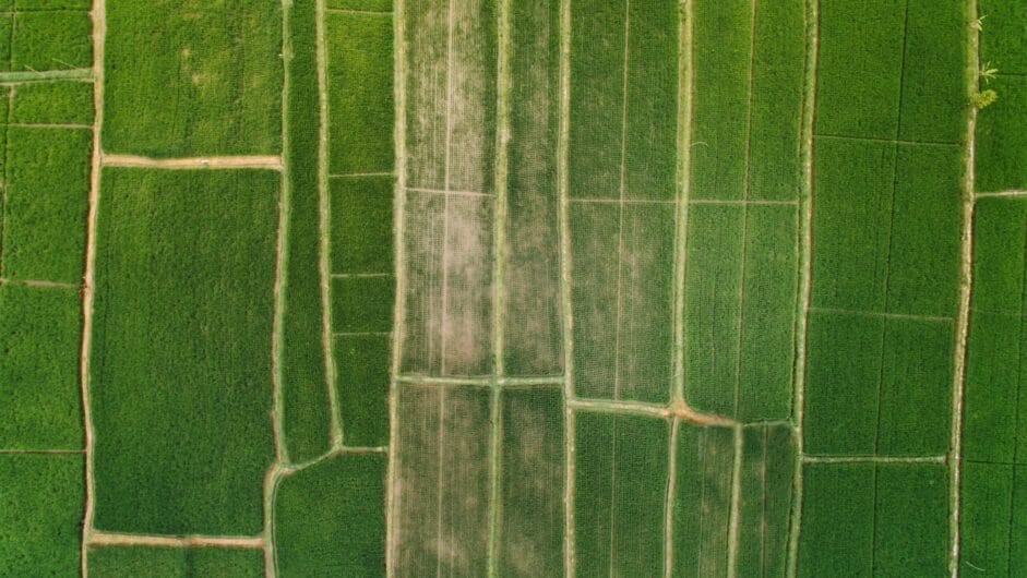 A breathtaking aerial perspective showcasing lush green farmland fields arranged in neat patterns.